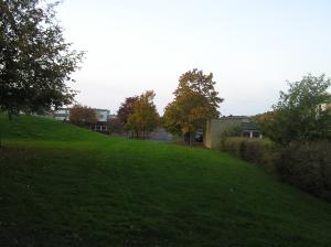 <img300*0:stuff/z/1/Autumn%2520tree%2520photo%2520reference/p1010028.jpg>