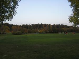 <img300*0:stuff/z/1/Autumn%2520tree%2520photo%2520reference/p1010034.jpg>