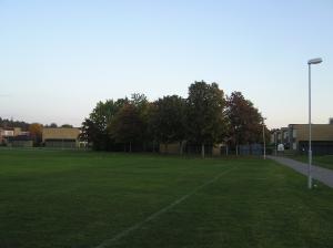 <img300*0:stuff/z/1/Autumn%2520tree%2520photo%2520reference/p1010036.jpg>