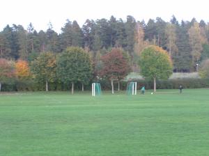 <img300*0:stuff/z/1/Autumn%2520tree%2520photo%2520reference/p1010038.jpg>
