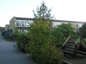 <img300*0:stuff/z/1/Autumn%2520tree%2520photo%2520reference/p1010045.jpg>
