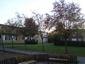 <img300*0:stuff/z/1/Autumn%2520tree%2520photo%2520reference/p1010050.jpg>