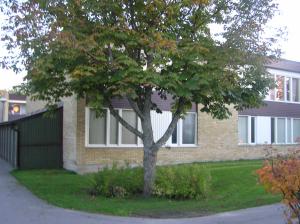 <img300*0:stuff/z/1/Autumn%2520tree%2520photo%2520reference/p1010053.jpg>