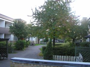 <img300*0:stuff/z/1/Autumn%2520tree%2520photo%2520reference/p1010055.jpg>