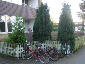 <img300*0:stuff/z/1/Autumn%2520tree%2520photo%2520reference/p1010056.jpg>