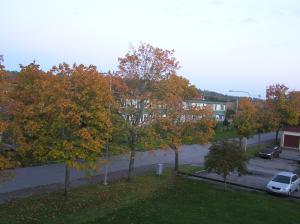 <img300*0:stuff/z/1/Autumn%2520trees/p1010003.jpg>