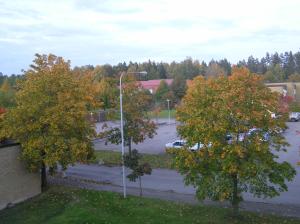 <img300*0:stuff/z/1/Autumn%2520trees/p1010004.jpg>