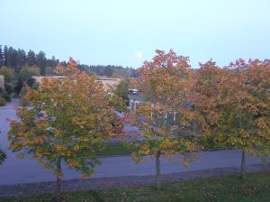 <img300*0:stuff/z/1/Autumn%2520trees/p1010005.jpg>