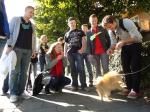 <img150*0:stuff/z/1/BasarStadsvandring/dsc02436.jpg>