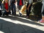 <img150*0:stuff/z/1/BasarStadsvandring/dsc02437.jpg>
