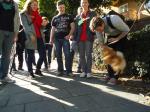 <img150*0:stuff/z/1/BasarStadsvandring/dsc02438.jpg>