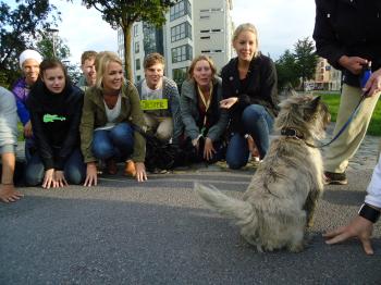 <img350*0:stuff/z/1/BasarStadsvandring/dsc02475.jpg>