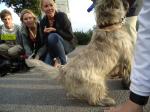 <img150*0:stuff/z/1/BasarStadsvandring/dsc02476.jpg>