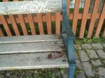 <img150*0:stuff/z/1/BasarStadsvandring/dsc02484.jpg>