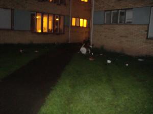 <img300*0:stuff/z/1/Belen/DSC00748.JPG>