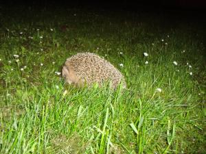 <img300*0:stuff/z/1/Belen/DSC00750.JPG>