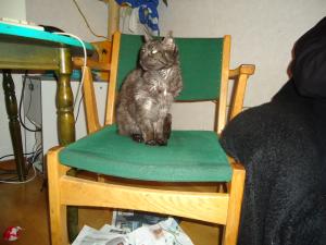 <img300*0:stuff/z/1/BirthdayParty2011/dsc05831.jpg>
