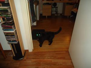 <img300*0:stuff/z/1/BirthdayParty2011/dsc05836.jpg>
