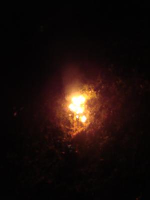 <img300*0:stuff/z/1/Blot2009/DSC07542.JPG>