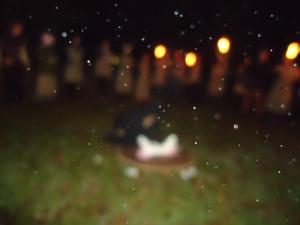 <img300*0:stuff/z/1/Blot2011/dsc05747.jpg>