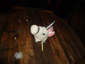 <img300*0:stuff/z/1/Blot2011/dsc05753.jpg>