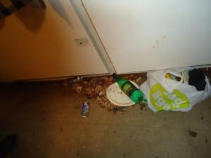<img300*0:stuff/z/1/Blot2012/DSC07317.JPG>