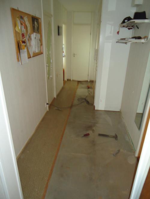 <imgr500*0:stuff/z/1/Broken%2520entry%2520hall/dsc04798.jpg>