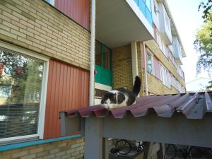 <img300*0:stuff/z/1/CatDate/dsc04557.jpg>