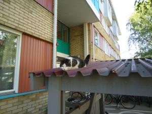 <img300*0:stuff/z/1/CatDate/dsc04558.jpg>