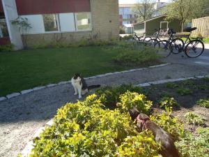<img300*0:stuff/z/1/CatDate/dsc04559.jpg>