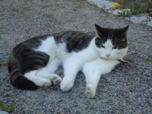 <img300*0:stuff/z/1/CatDate/dsc04560.jpg>