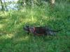 <img100*0:stuff/z/1/Catwalk%2520around%2520Kyrksjon/DSC01593.JPG>