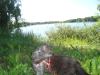 <img100*0:stuff/z/1/Catwalk%2520around%2520Kyrksjon/DSC01600.JPG>