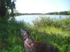 <img100*0:stuff/z/1/Catwalk%2520around%2520Kyrksjon/DSC01601.JPG>