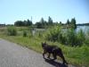 <img100*0:stuff/z/1/Catwalk%2520around%2520Kyrksjon/DSC01604.JPG>