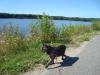 <img100*0:stuff/z/1/Catwalk%2520around%2520Kyrksjon/DSC01605.JPG>