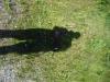 <img100*0:stuff/z/1/Catwalk%2520around%2520Kyrksjon/DSC01611.JPG>