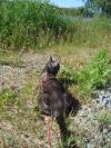 <img100*0:stuff/z/1/Catwalk%2520around%2520Kyrksjon/DSC01618.JPG>