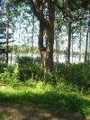<img100*0:stuff/z/1/Catwalk%2520around%2520Kyrksjon/DSC01628.JPG>