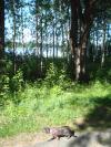 <img100*0:stuff/z/1/Catwalk%2520around%2520Kyrksjon/DSC01629.JPG>