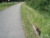 <img100*0:stuff/z/1/Catwalk%2520around%2520Kyrksjon/DSC01632.JPG>