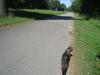 <img100*0:stuff/z/1/Catwalk%2520around%2520Kyrksjon/DSC01646.JPG>