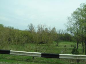 <img300*0:stuff/z/1/Chernobyl2008/p1010011.jpg>