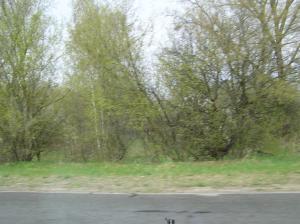 <img300*0:stuff/z/1/Chernobyl2008/p1010013.jpg>