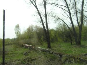 <img300*0:stuff/z/1/Chernobyl2008/p1010014.jpg>