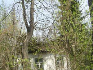 <img300*0:stuff/z/1/Chernobyl2008/p1010042.jpg>