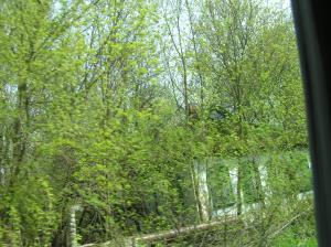 <img300*0:stuff/z/1/Chernobyl2008/p1010043.jpg>