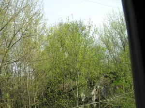 <img300*0:stuff/z/1/Chernobyl2008/p1010044.jpg>