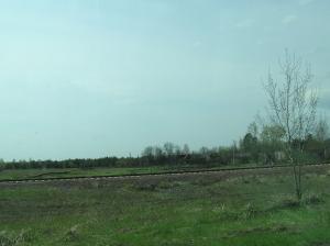 <img300*0:stuff/z/1/Chernobyl2008/p1010071.jpg>