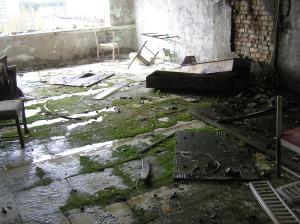 <img300*0:stuff/z/1/Chernobyl2008/p1010081.jpg>
